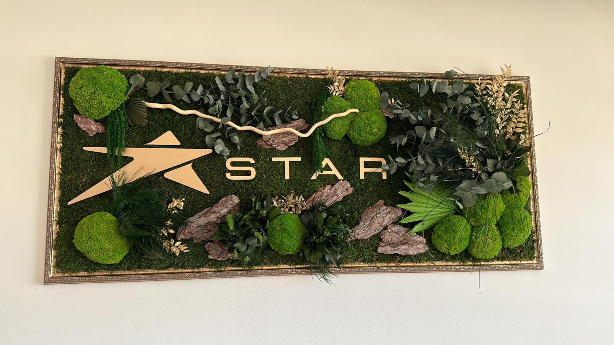 Star 3* Tulcea